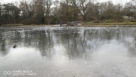 Der Modellbootsee der Günther-Klotz-Anlage Karlsruhe mit Bruchstücken von Eis übersät